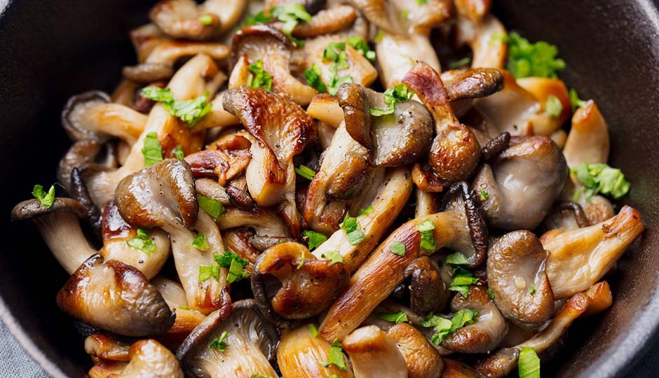 The Power of Mushrooms for Healthy Hair and Skin | UHC The Power of Mushrooms for Healthy Hair and Skin | UHC