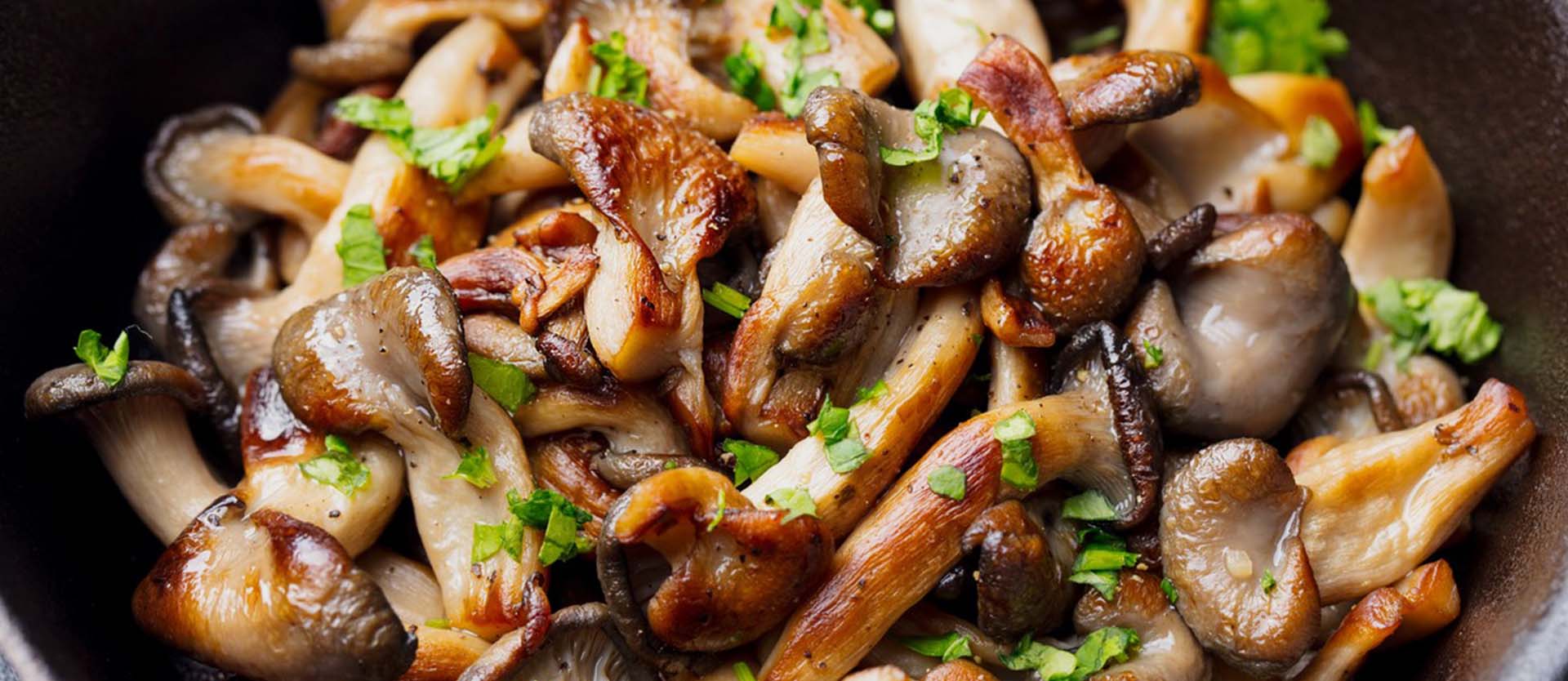 The Power of Mushrooms for Healthy Hair and Skin