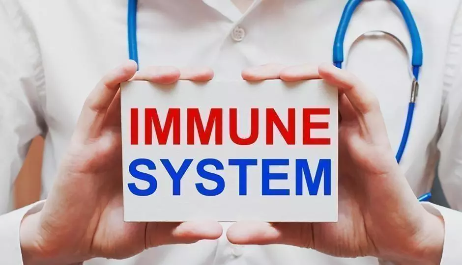 Immune system and hair loss