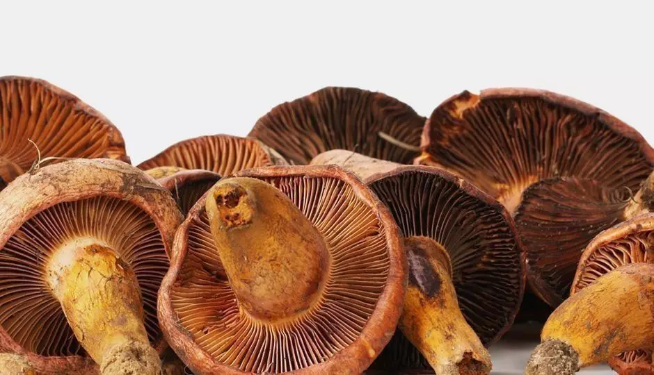 Can Ergothioneine Found in Mushrooms be a Super Food for Thinning Hair?