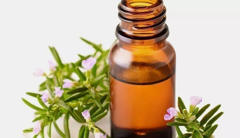 How to Use Rosemary Oil for Thinning Hair