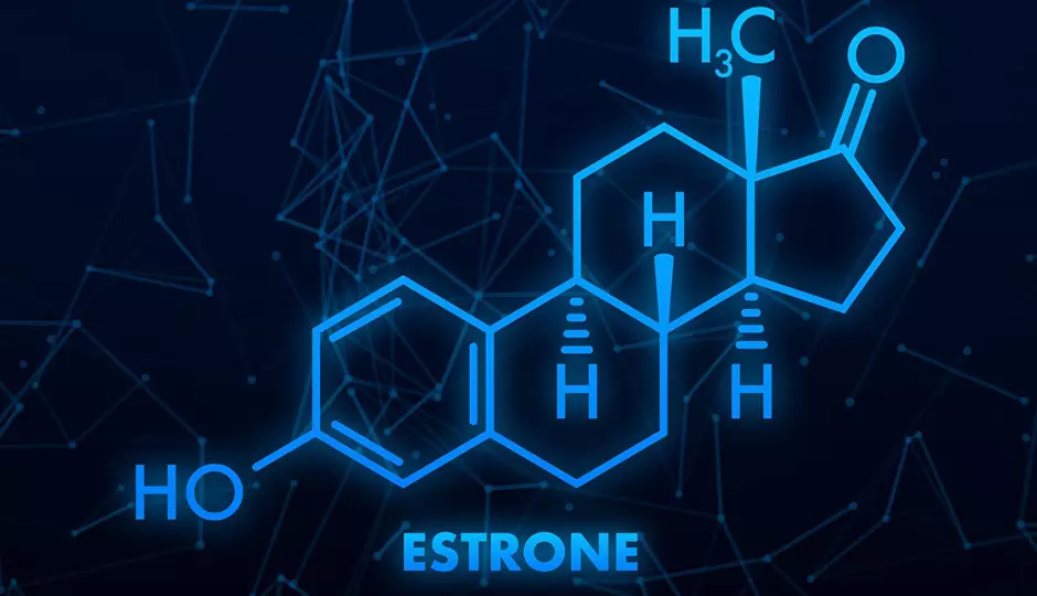 What is Estrone and How Does it Affect Hair Growth?