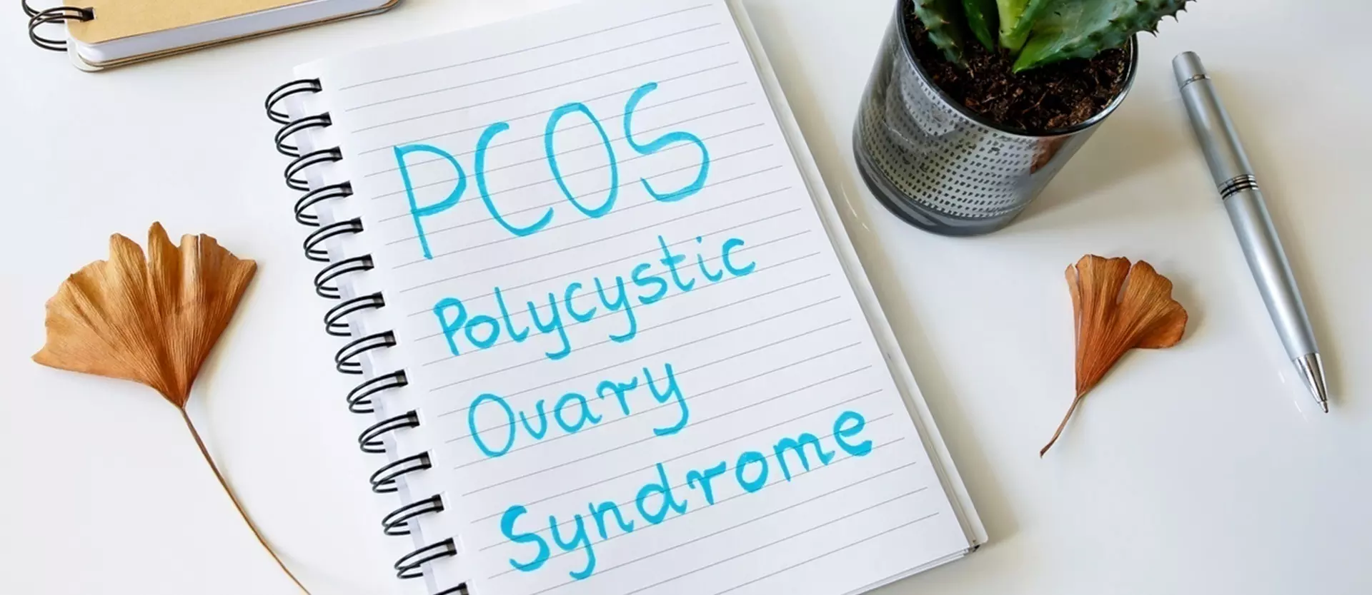 The Relationship Between PCOS and Oily Scalp